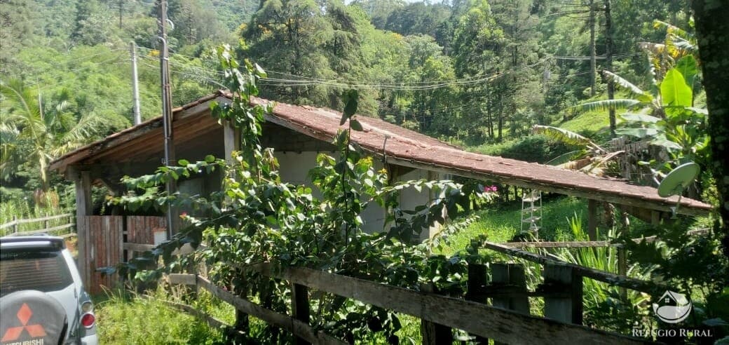 CHÁCARA EM SÃO FRANCISCO XAVIER/SJC/SP