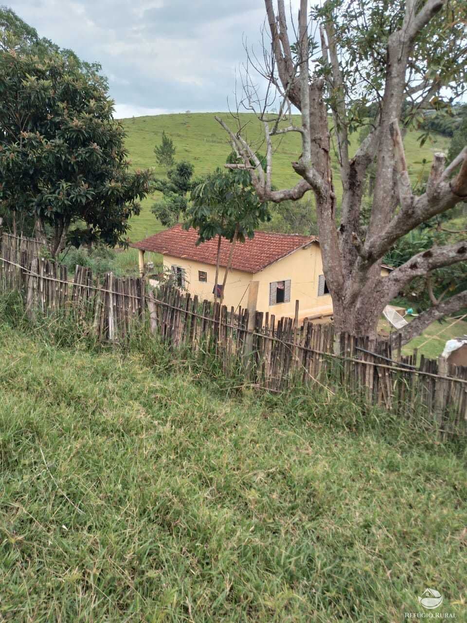 FAZENDA EM GUARATINGUETÁ/SP