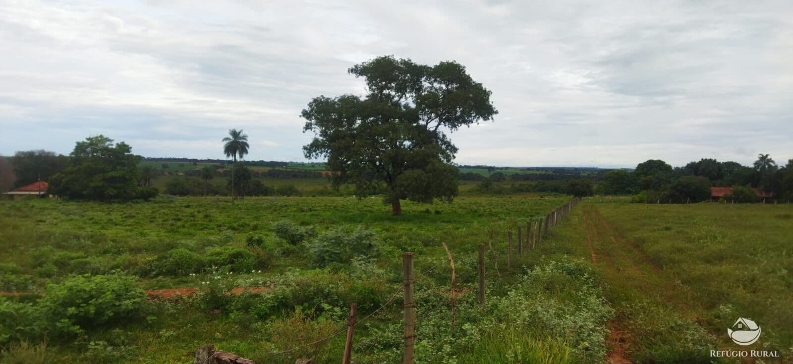 SÍTIO EXCELENTE EM FRONTEIRA/MG