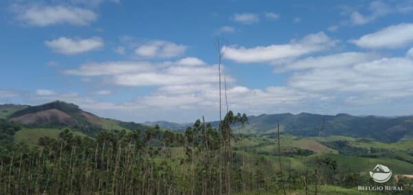 TERRENO EM MONTEIRO LOBATO