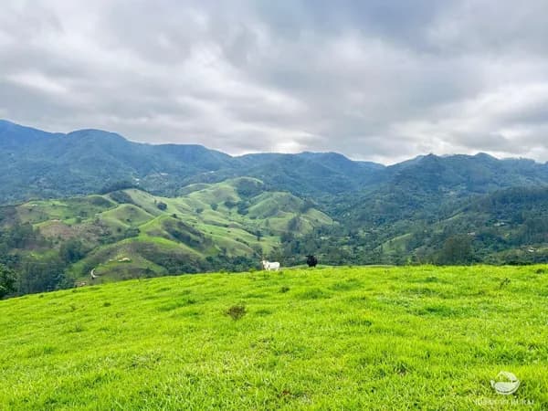 LINDO TERRENO COM VISTA ESPETACULAR EM SÃO FRANCISCO XAVIER