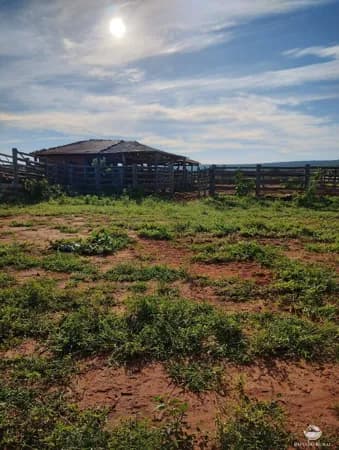 FAZENDA EXCELENTE EM JAÍBA/MG