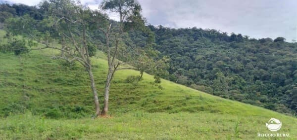 TERRENO EM SÃO FRANCISCO XAVIER COM MATA PRESERVADA E LINDA VISTA