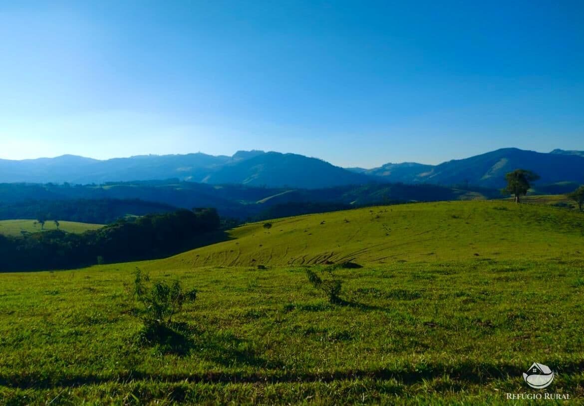 FAZENDA INCRÍVEL EM OURO FINO/ MG - EXCELENTE OPORTUNIDADE DE INVESTIMENTO!