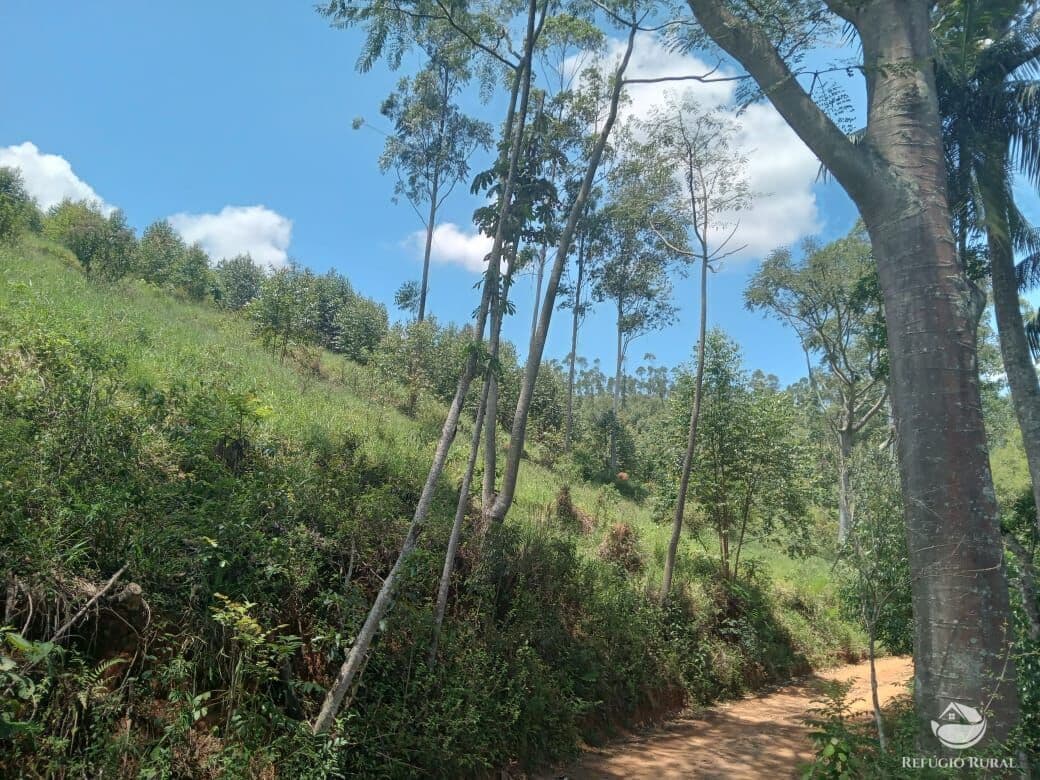 SÍTIO EM IGARATÁ/SP