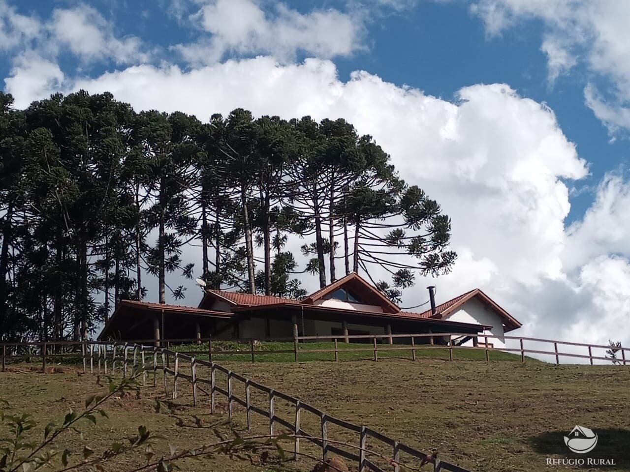 HARAS EM SAPUCAÍ MIRIM - MG
