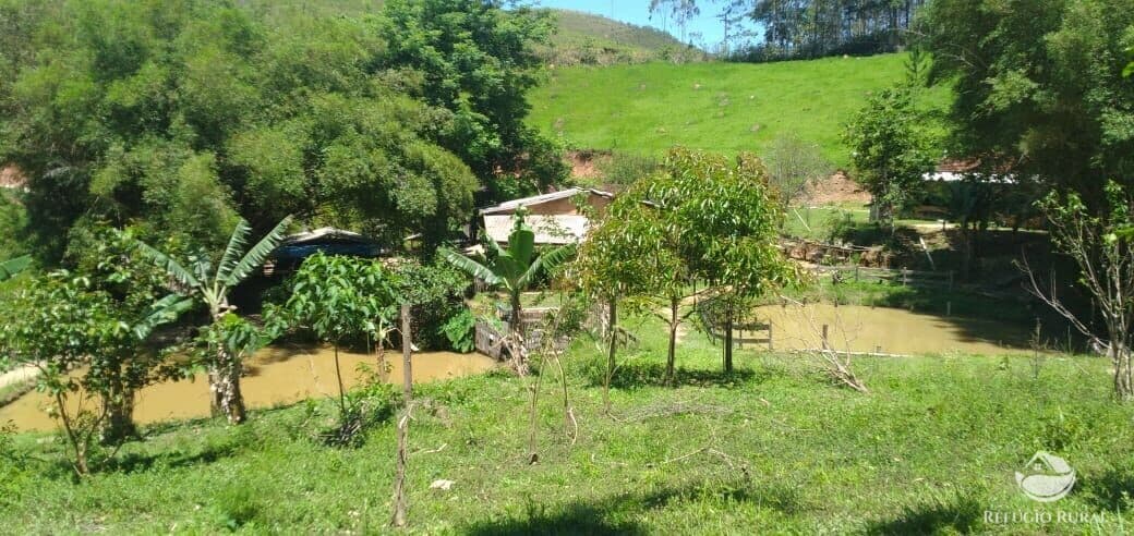 SÍTIO COM LAGOS E POMAR