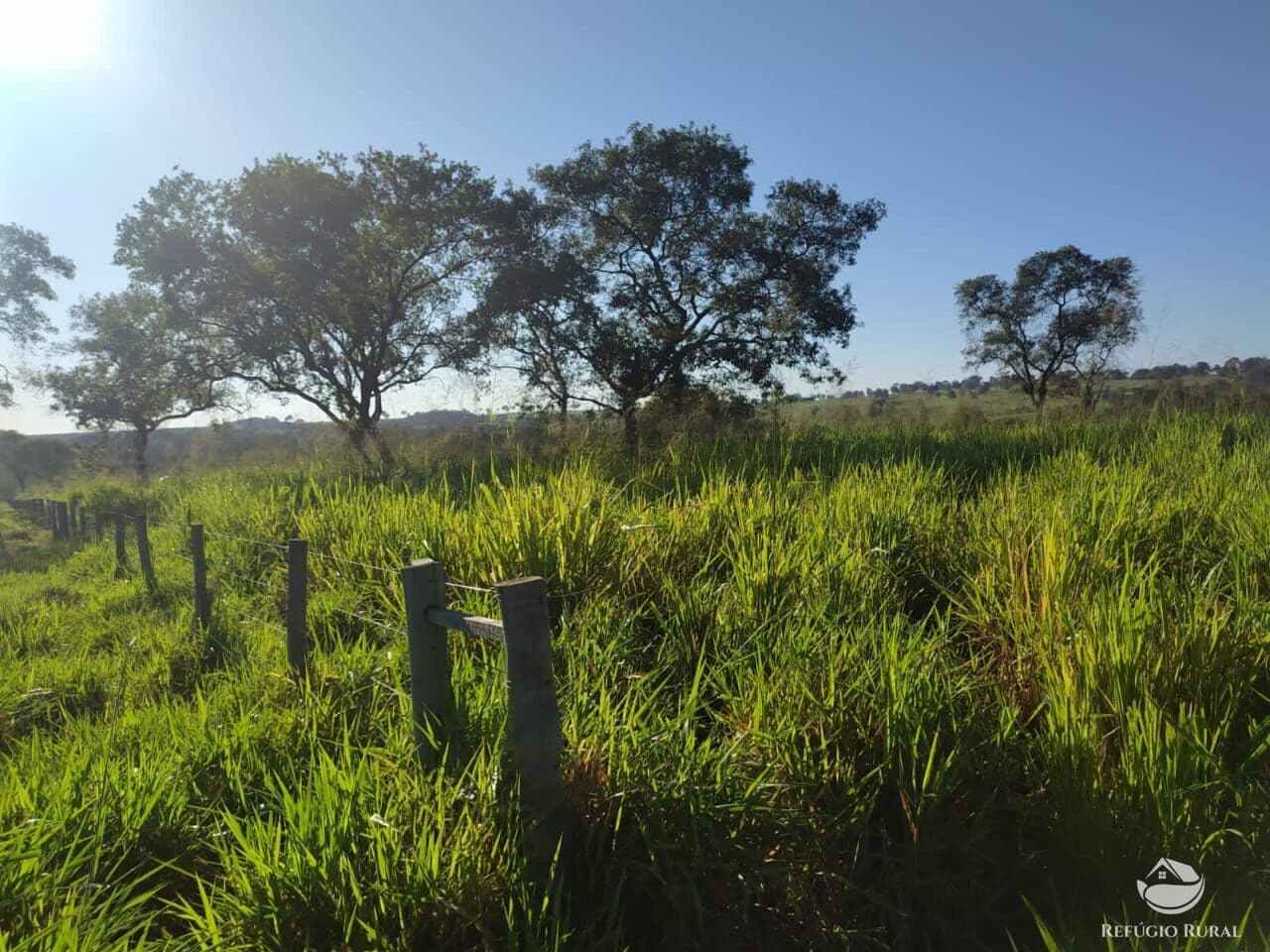FAZENDA EM PEDRA PRETA/MT