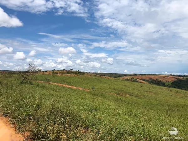FAZENDA EM TIROS/MG
