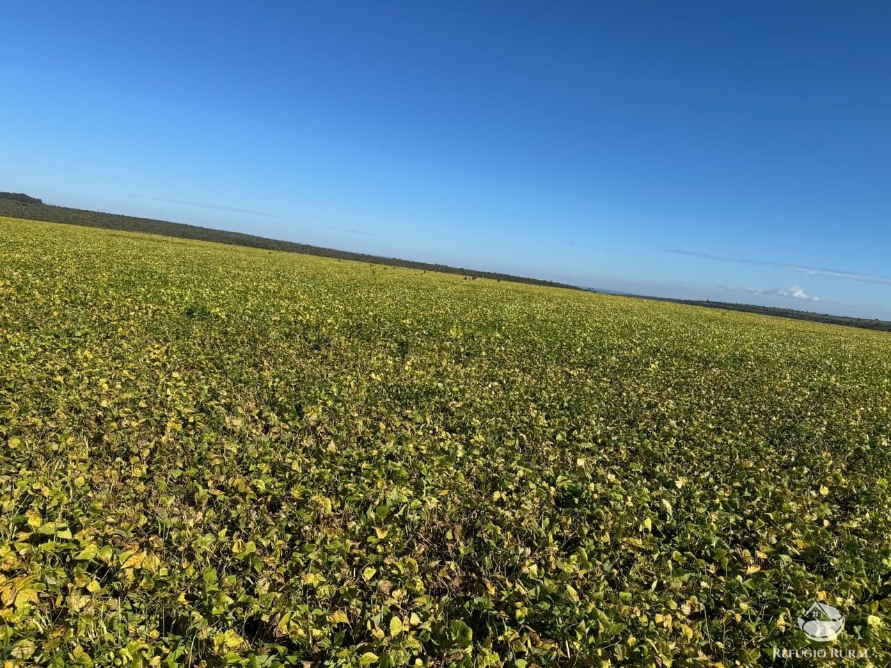 FAZENDA EM JOÃO PINHEIRO/MG