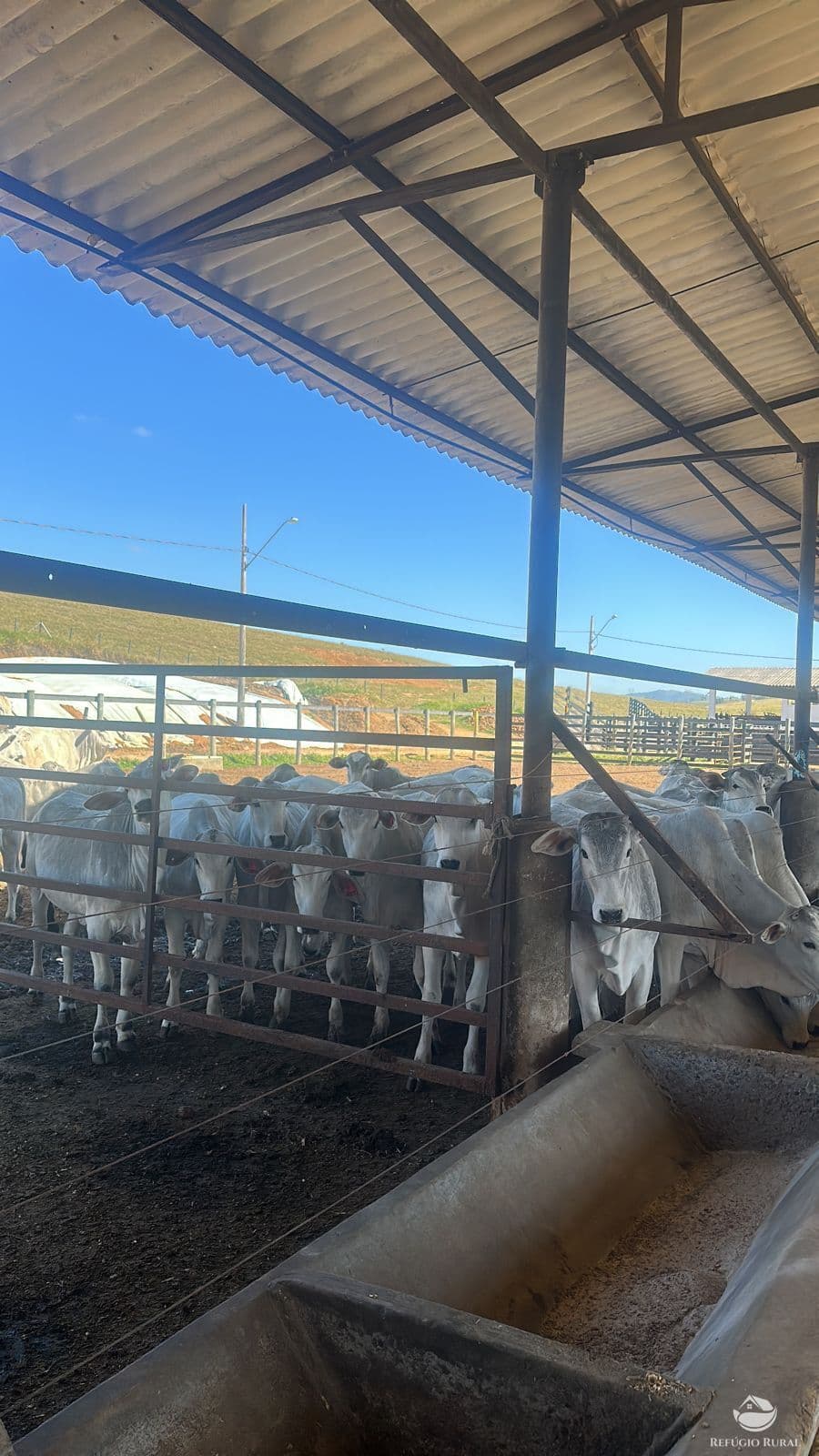 FAZENDA EM SÃO JOSÉ DOS CAMPOS/SP