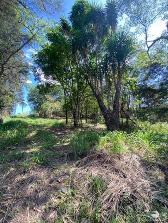 SÍTIO COM NASCENTE EM MEIO A UMA LINDA PAISAGEM EM IGARATÁ