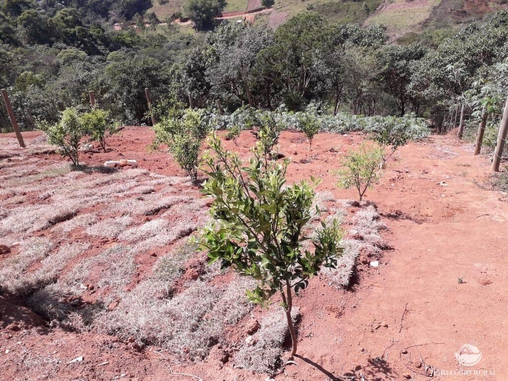 TERRENO EM MONTEIRO LOBATO/SP