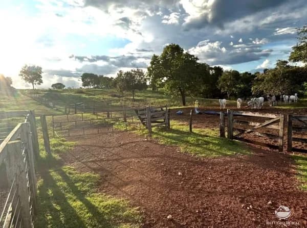 FAZENDA EM SANDOLÂNDIA/TO