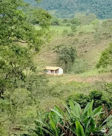SÍTIO COM NASCENTES E BELA PAISAGEM EM MONTEIRO LOBATO/SP