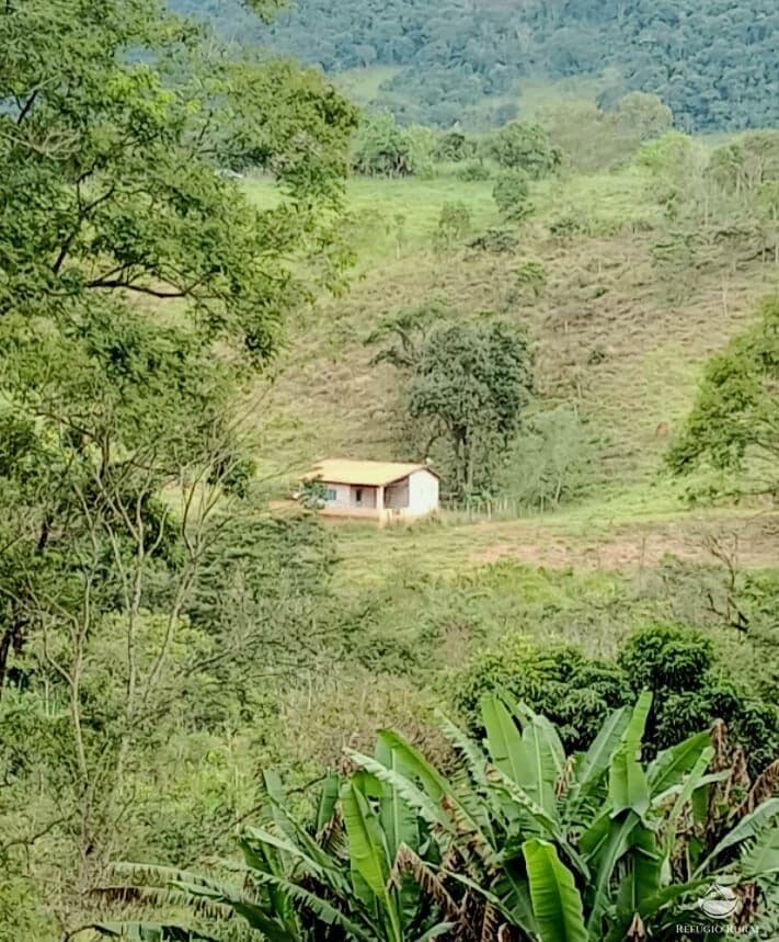 SÍTIO COM NASCENTES E BELA PAISAGEM EM MONTEIRO LOBATO/SP