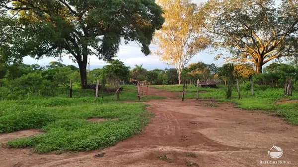 FAZENDA EM BURITIZEIRO - MG