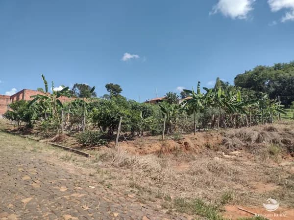 TERRENO IMPERDÍVEL - *EXCELENTE OPORTUNIDADE DE INVESTIMENTO EM JABOTI- PR!*