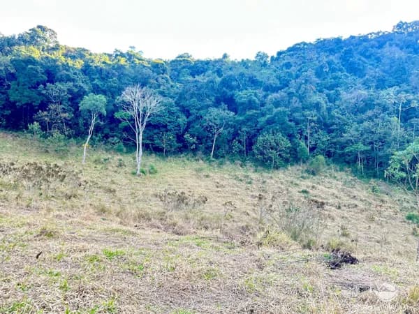 TERRENO EM SÃO FRANCISCO XAVIER