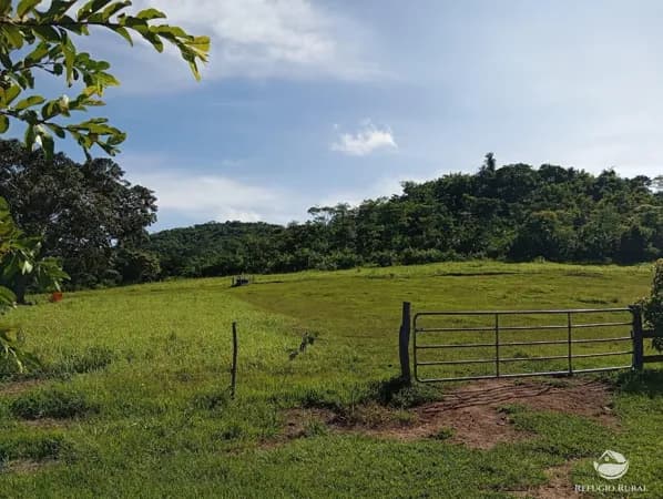 FAZENDA EM SÃO GABRIEL DO OESTE/MS