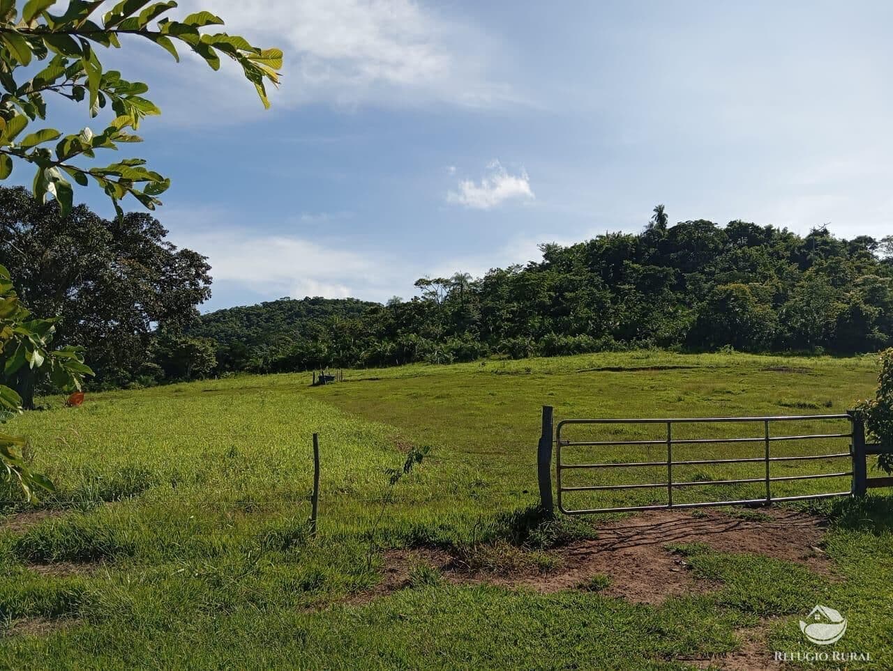 FAZENDA EM SÃO GABRIEL DO OESTE/MS
