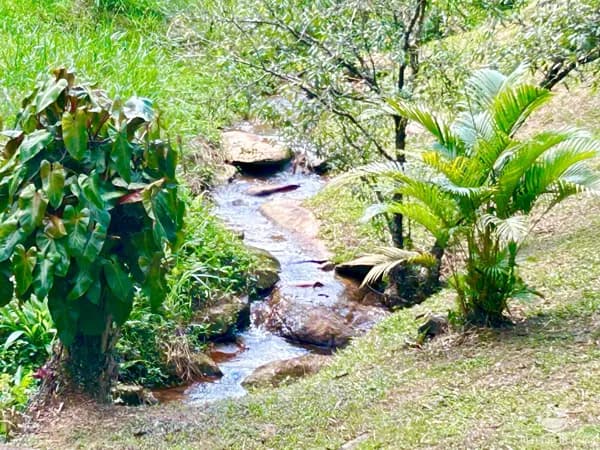 SÍTIO EM MONTEIRO LOBATO/SP