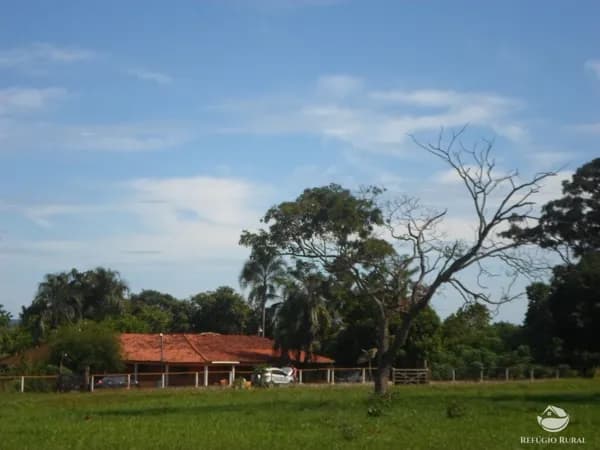 SÍTIO INCRÍVEL EM FRONTEIRA /MG