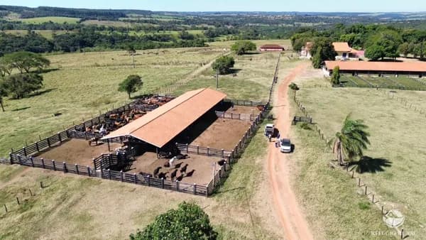 FAZENDA EM UBERABA/MG
