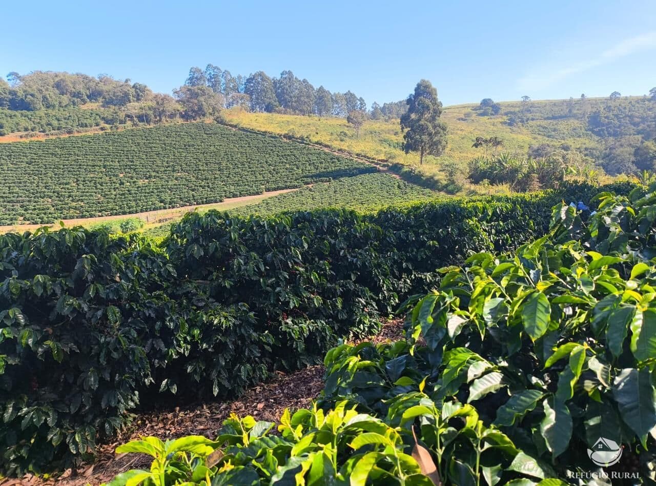 FAZENDA EM GUAXUPÉ/MG