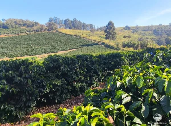 FAZENDA EM GUAXUPÉ/MG