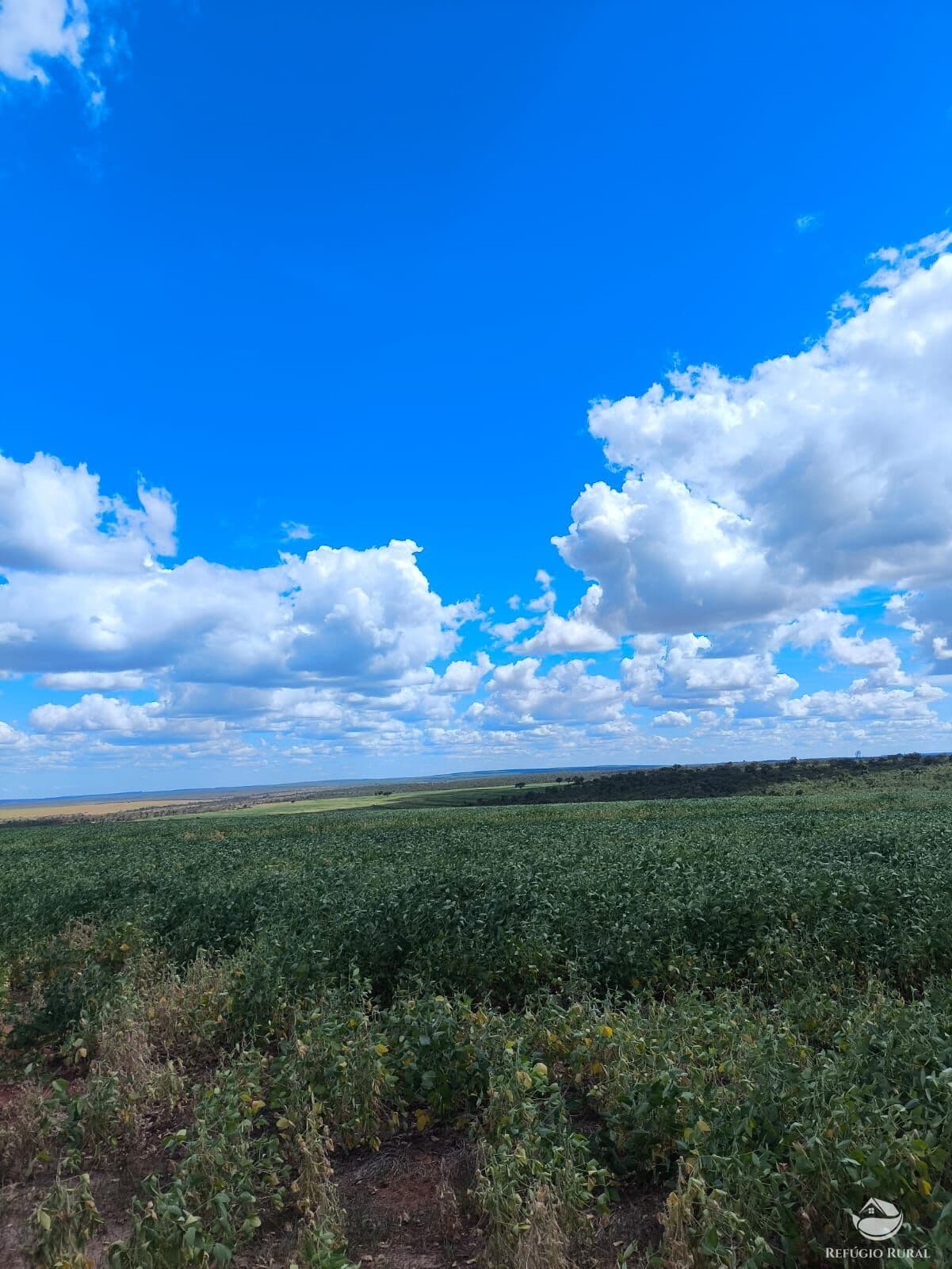 FAZENDA EM JOÃO PINHEIRO/MG