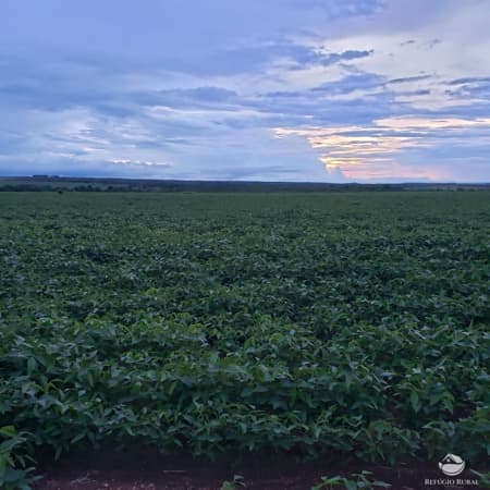 FAZENDA EM ROSÁRIO DO OESTE/MT