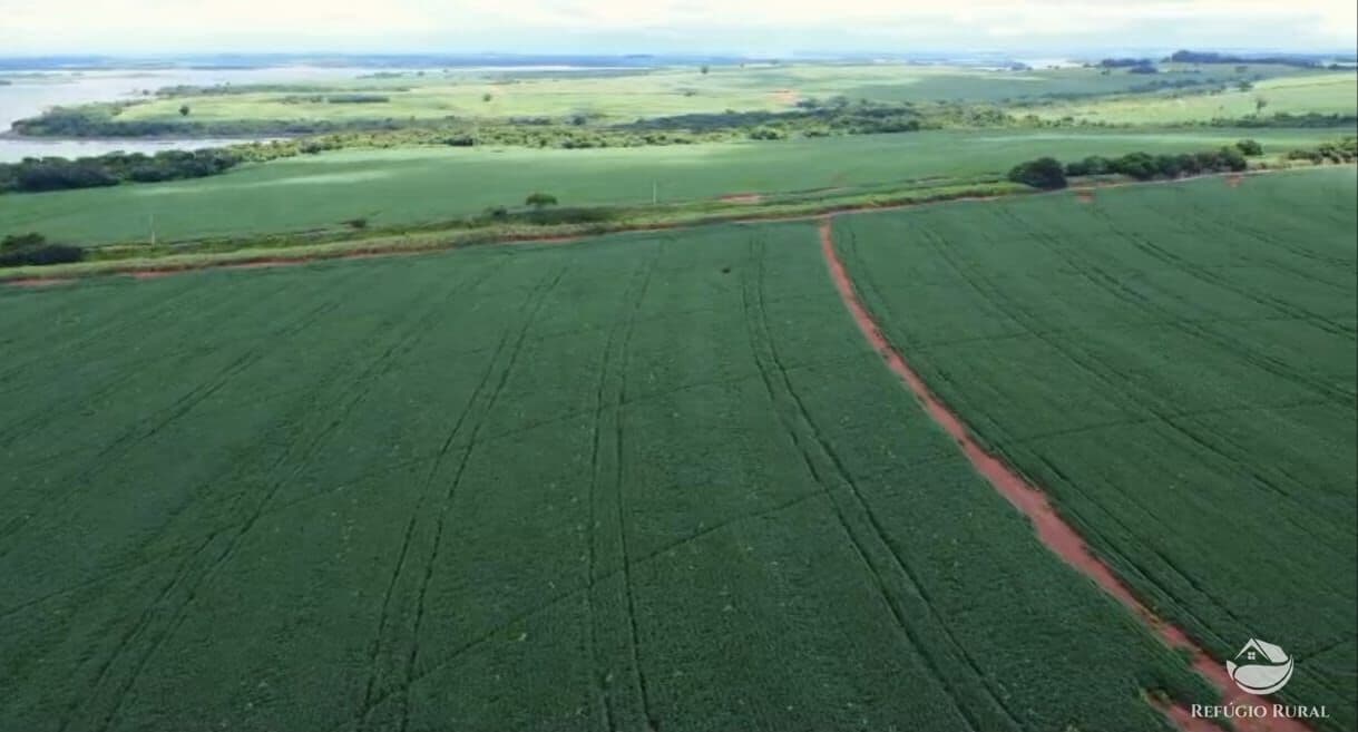 FAZENDA EM PRESIDENTE PRUDENTE/SP