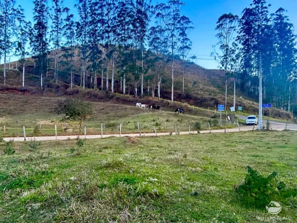 TERRENO NO CENTRO DE SÃO FRANCISCO XAVIER