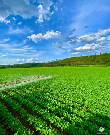 FAZENDA EM IPUIÚNA/MG