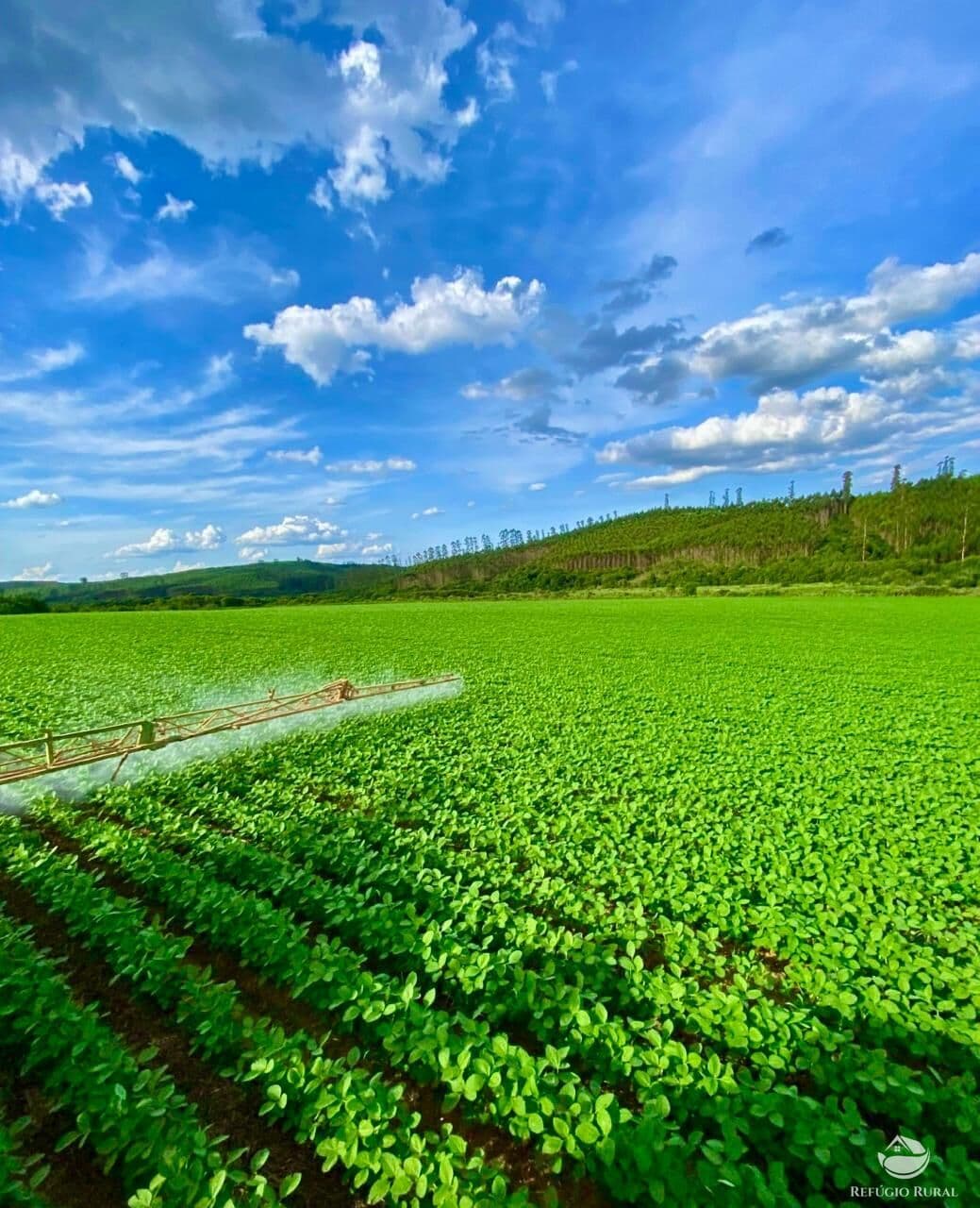 FAZENDA EM IPUIÚNA/MG