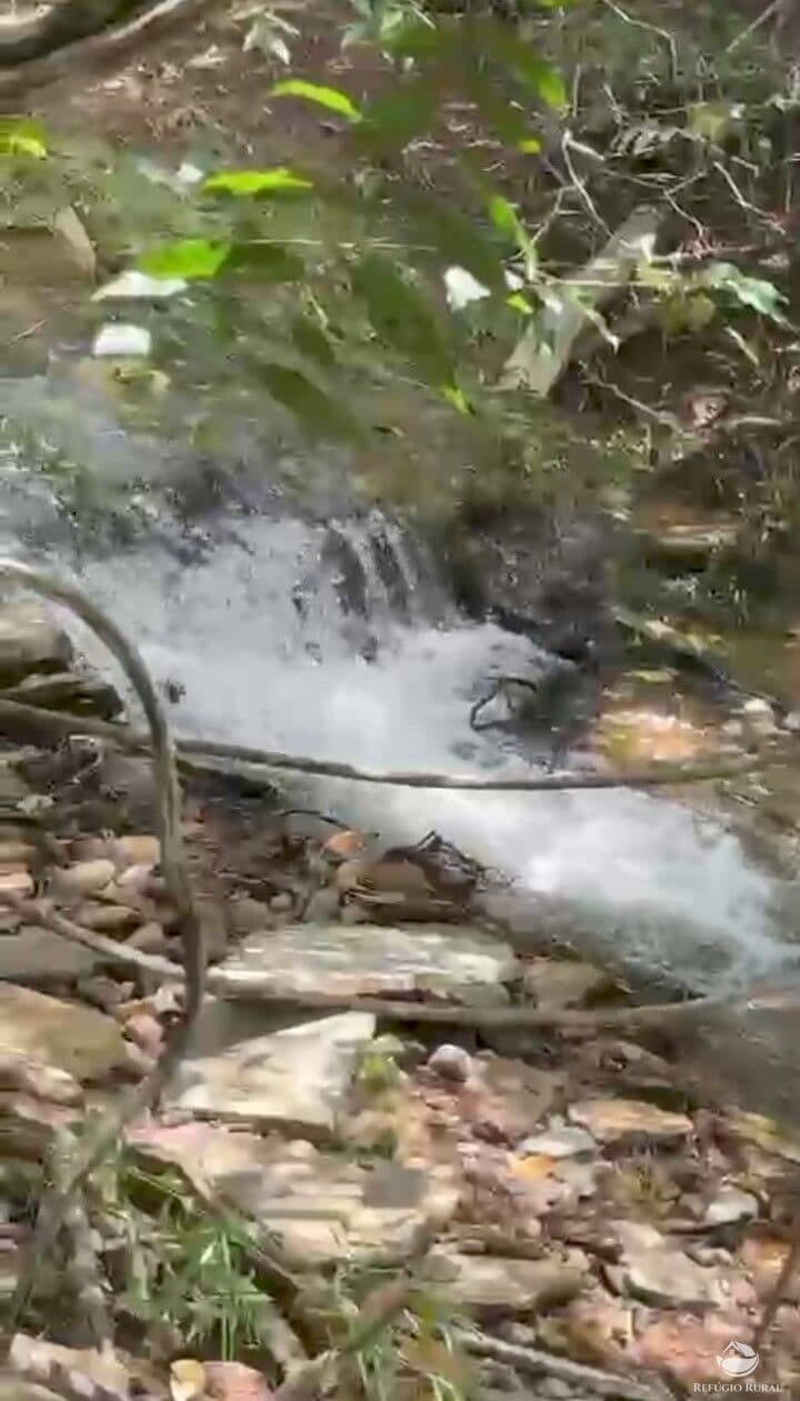FAZENDA EM JOÃO PINHEIRO/MG
