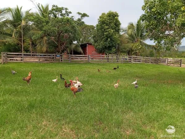 FAZENDA EM PINDORAMA DO TOCANTINS/TO
