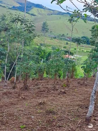 TERRENO AMPLO - EXCELENTE OPORTUNIDADE DE INVESTIMENTO EM MONTEIRO LOBATO/SP