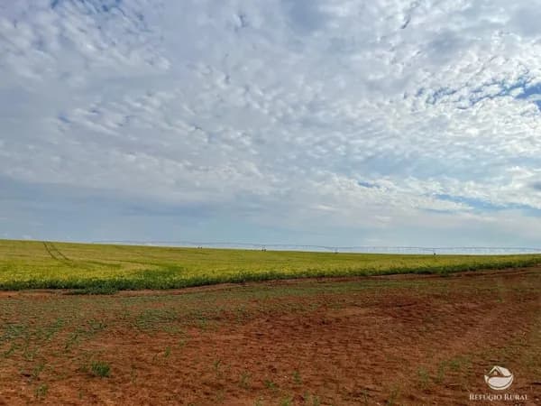 FAZENDA IMPERDÍVEL COM ESTRUTURA EXCELENTE EM UNAÍ/MG