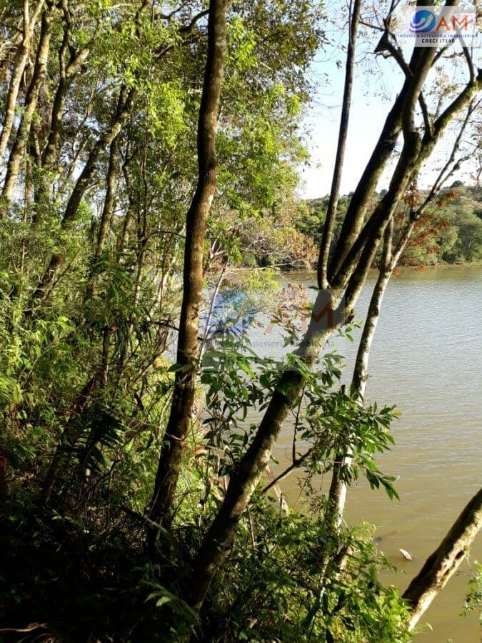 Lote/Terreno em Campo Largo - Vila Torres