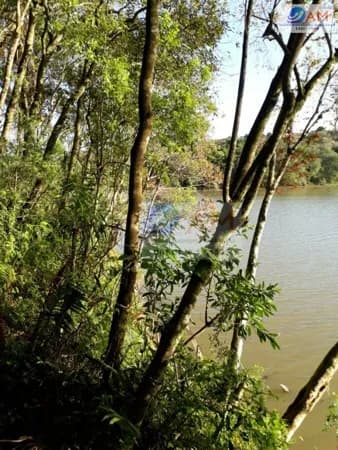 Lote/Terreno em Campo Largo - Vila Torres