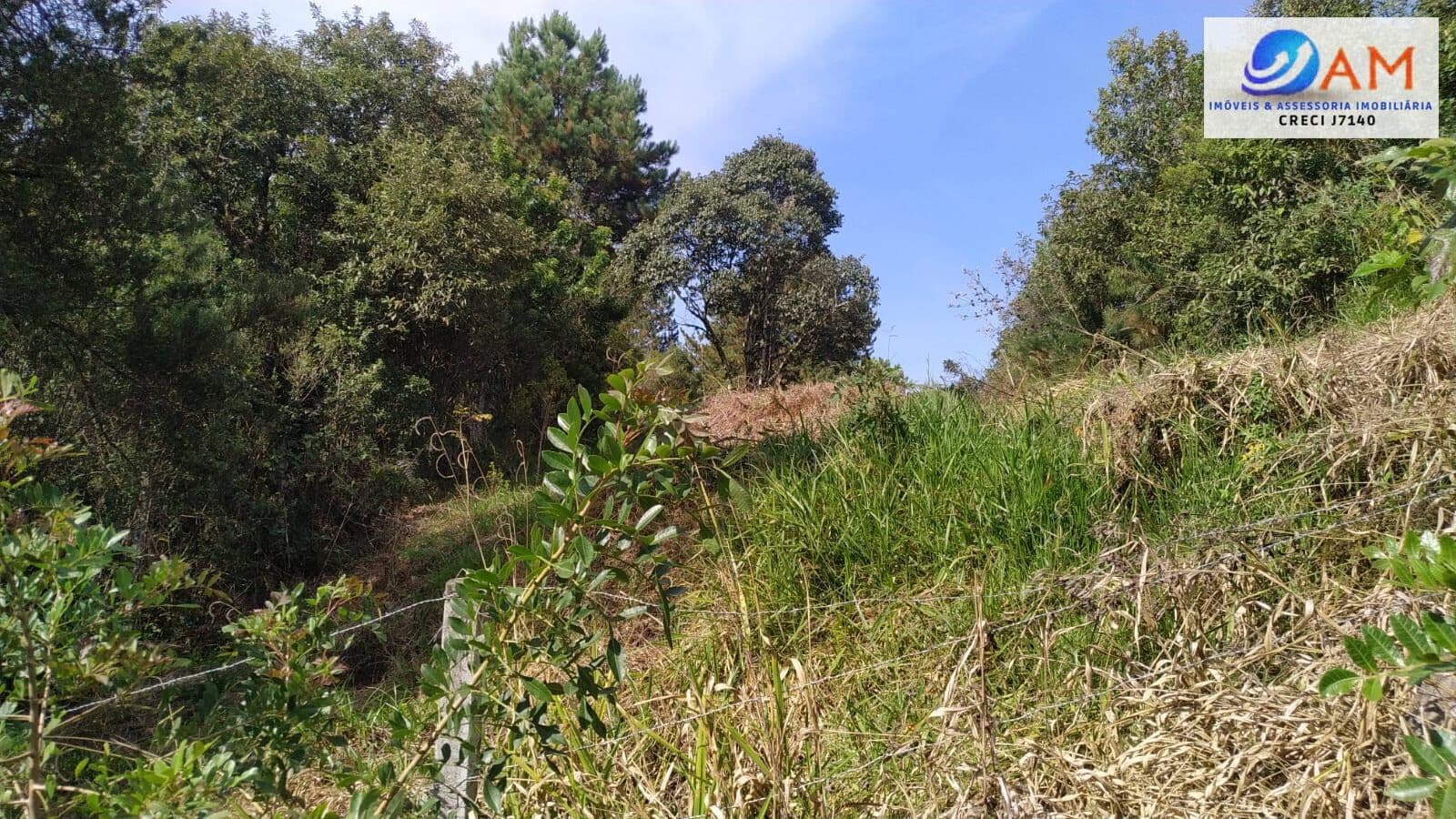 Lote/Terreno em Campo Largo - Vila Torres