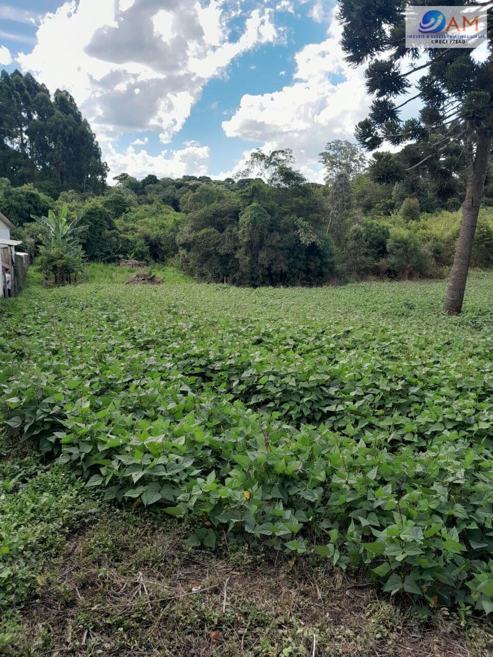 Terreno Rural pronto para contruir