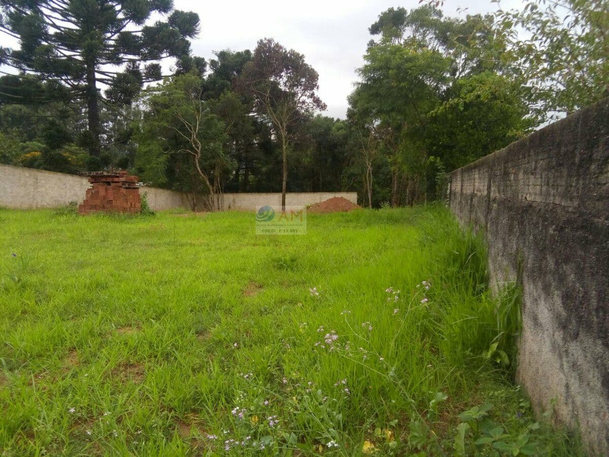 EXCELENTE ÁREA MEDINDO 2.226,00M² SENDO 20,00 DE FRENTE, POR 111,00 DE AMBOS OS LADOS E 22,00 DE FUNDOS, TOPOGRAFIA 50% DA ÁREA PLANA