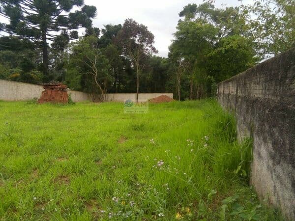 EXCELENTE ÁREA MEDINDO 2.226,00M² SENDO 20,00 DE FRENTE, POR 111,00 DE AMBOS OS LADOS E 22,00 DE FUNDOS, TOPOGRAFIA 50% DA ÁREA PLANA