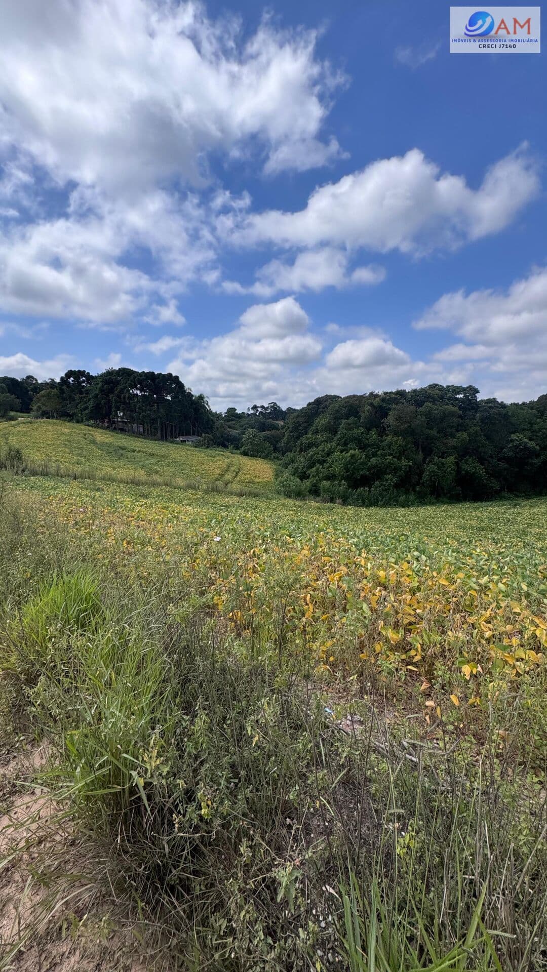 Terreno Lote em Centro, Balsa Nova/PR