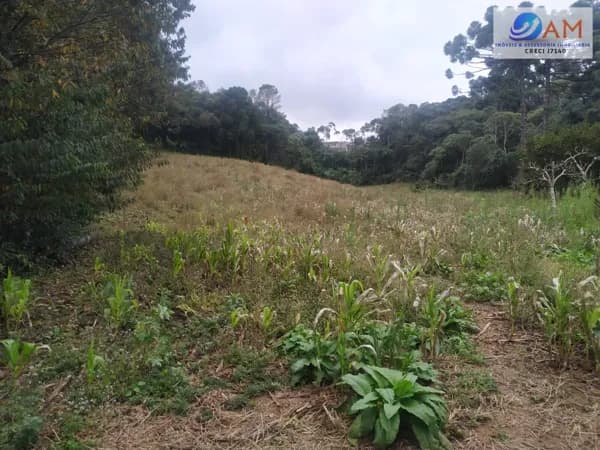 Chácara medindo 7.827,00 m² .