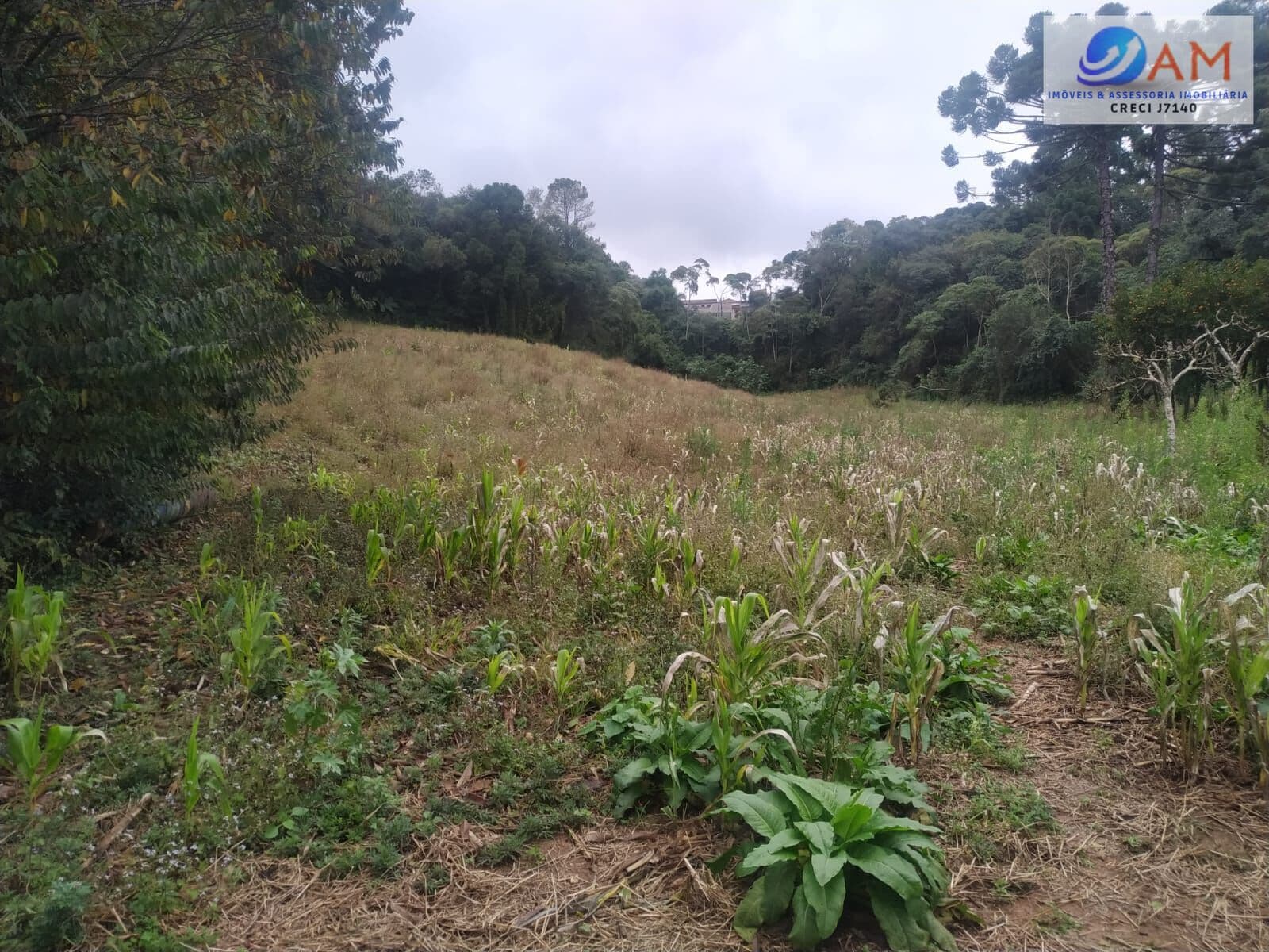 Chácara medindo 7.827,00 m² .