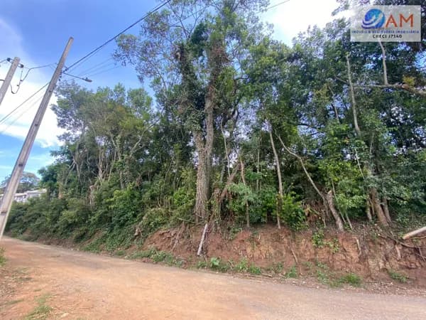 Terreno Lote em Centro, Balsa Nova/PR